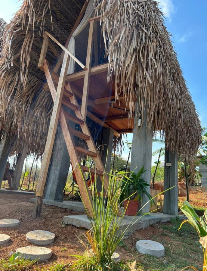 Hotel Sasy Tipis Santa Catalina Exterior foto